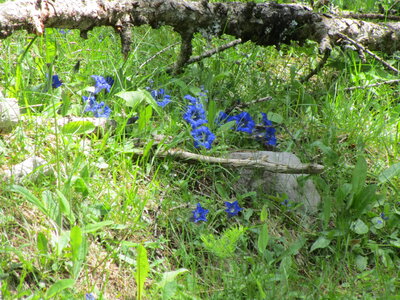 Tour de la Greysinière, IMG_4813