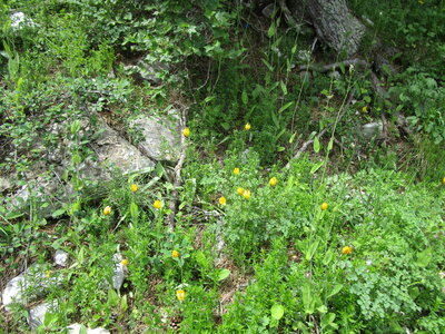 Tour de la Greysinière, IMG_4824