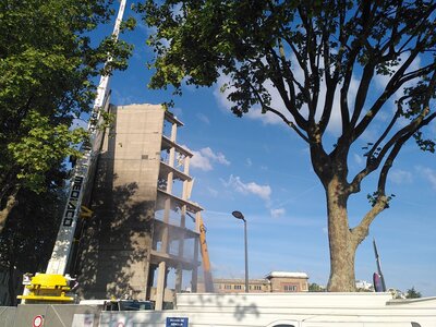 La fin de la tour, MK1, IMG_20240613_074822