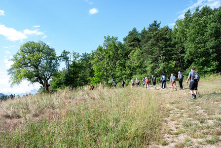 Départ Laragne pour la crête de Chabres le 25 juin 2024, DSC_0398