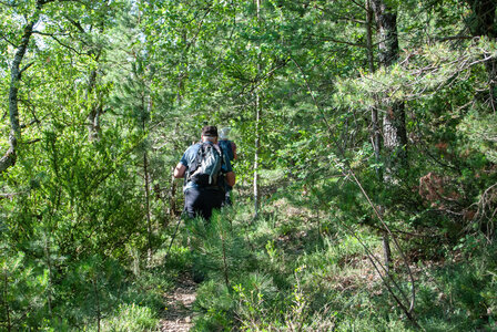 Départ Laragne pour la crête de Chabres le 25 juin 2024, DSC_0402