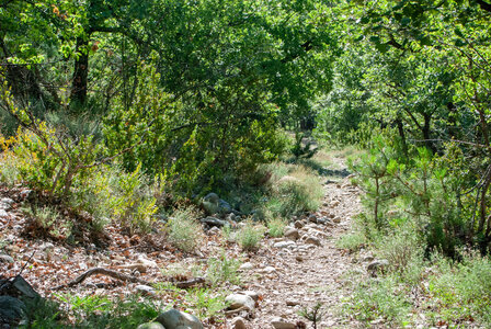 Départ Laragne pour la crête de Chabres le 25 juin 2024, DSC_0410