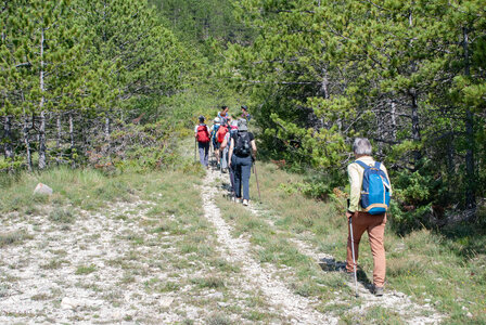 Départ Laragne pour la crête de Chabres le 25 juin 2024, DSC_0413