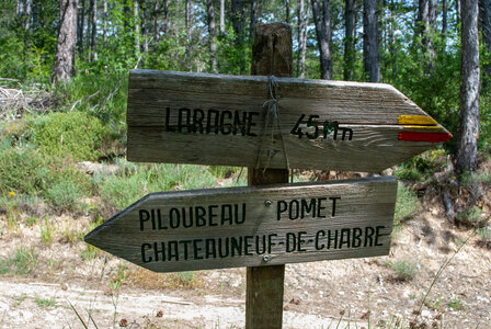 Départ Laragne pour la crête de Chabres le 25 juin 2024, DSC_0418