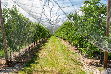 Départ Laragne pour la crête de Chabres le 25 juin 2024, DSC_0441