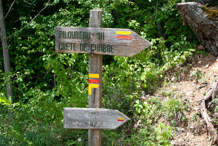Départ Laragne pour la crête de Chabres le 25 juin 2024, DSC_0442