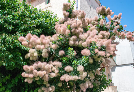 Départ Laragne pour la crête de Chabres le 25 juin 2024, DSC_0443
