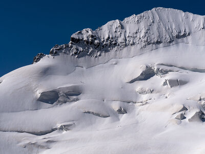 27-06-24_glacier blanc, _1095760