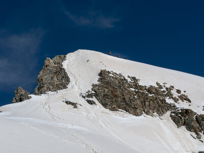 27-06-24_glacier blanc, _1095761