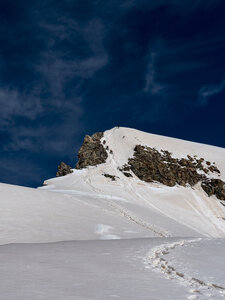 27-06-24_glacier blanc, _1095764