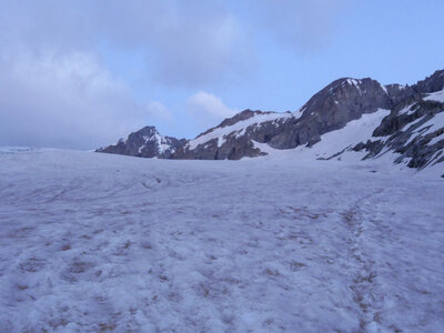 27-06-24_glacier blanc, P1095735