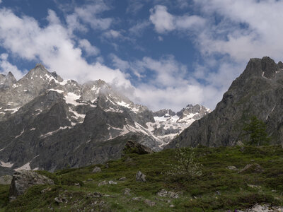 27-06-24_glacier blanc, _1095667