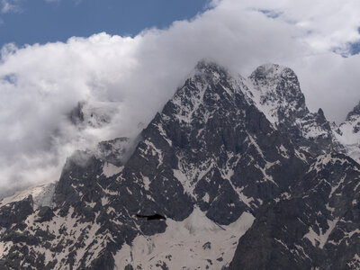 27-06-24_glacier blanc, _1095696