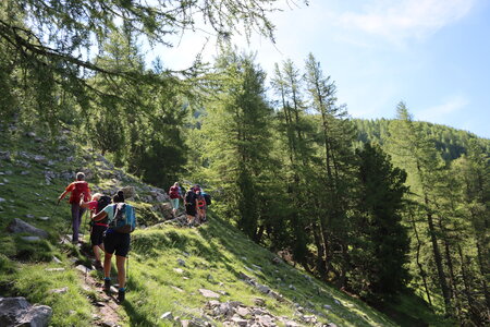 Lacs et Tourbières du Col Bas, Lacs et Tourbières du Col Bas 004