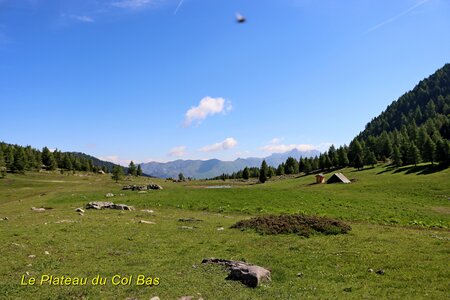 Lacs et Tourbières du Col Bas, Lacs et Tourbières du Col Bas 008