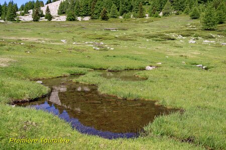 Lacs et Tourbières du Col Bas, Lacs et Tourbières du Col Bas 009