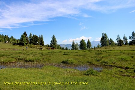 Lacs et Tourbières du Col Bas, Lacs et Tourbières du Col Bas 011