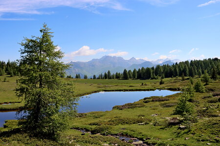 Lacs et Tourbières du Col Bas, Lacs et Tourbières du Col Bas 012