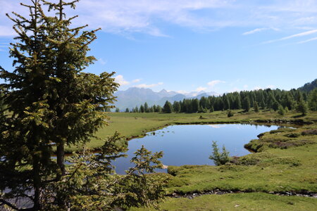 Lacs et Tourbières du Col Bas, Lacs et Tourbières du Col Bas 013