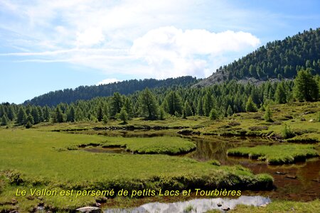 Lacs et Tourbières du Col Bas, Lacs et Tourbières du Col Bas 014