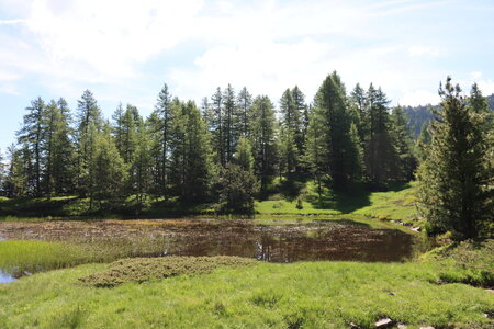 Lacs et Tourbières du Col Bas, Lacs et Tourbières du Col Bas 015