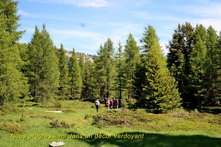 Lacs et Tourbières du Col Bas, Lacs et Tourbières du Col Bas 016