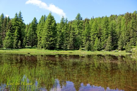 Lacs et Tourbières du Col Bas, Lacs et Tourbières du Col Bas 017