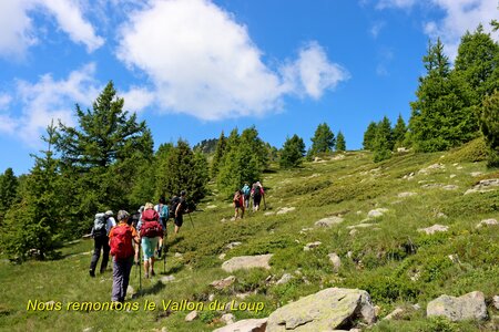 Lacs et Tourbières du Col Bas, Lacs et Tourbières du Col Bas 019