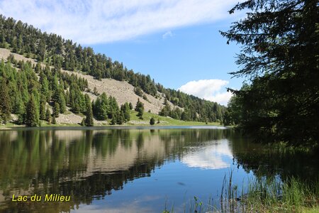 Lacs et Tourbières du Col Bas, Lacs et Tourbières du Col Bas 020