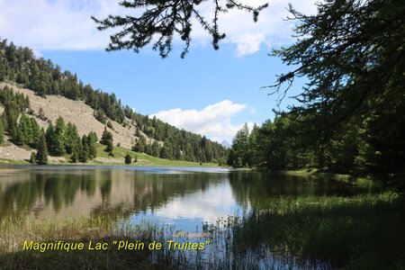 Lacs et Tourbières du Col Bas, Lacs et Tourbières du Col Bas 021