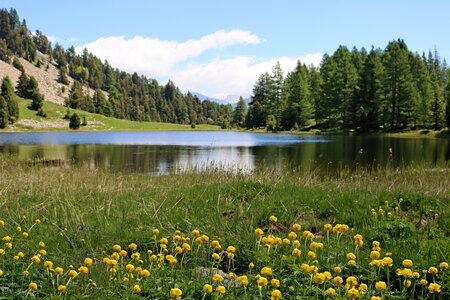 Lacs et Tourbières du Col Bas, Lacs et Tourbières du Col Bas 022