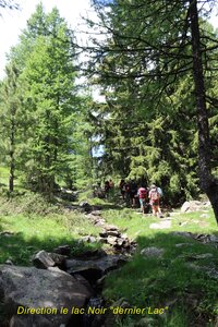 Lacs et Tourbières du Col Bas, Lacs et Tourbières du Col Bas 023