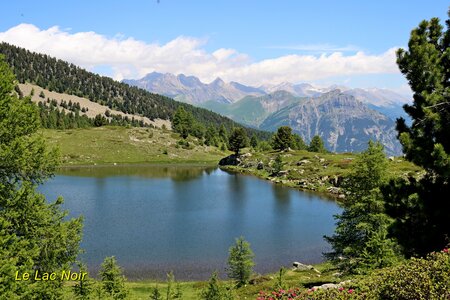 Lacs et Tourbières du Col Bas, Lacs et Tourbières du Col Bas 030