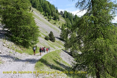 Lacs et Tourbières du Col Bas, Lacs et Tourbières du Col Bas 037