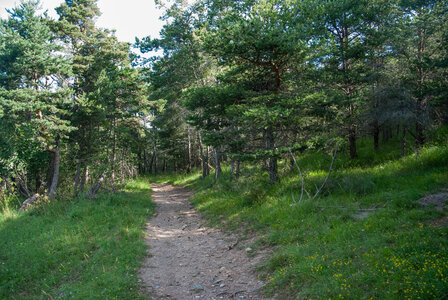 Jarjayes départ Bournas-Grand Bois-Col de la Sentinelle le 02072024, DSC_0455