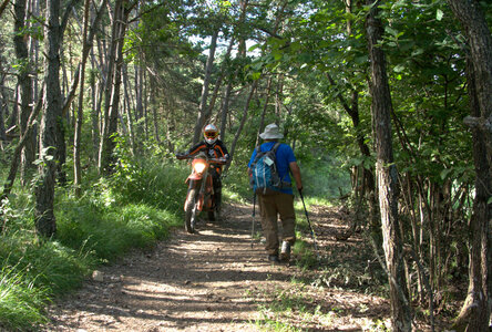 Jarjayes départ Bournas-Grand Bois-Col de la Sentinelle le 02072024, DSC_0456modjpg