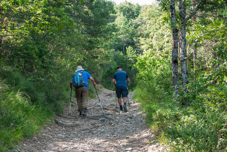 Jarjayes départ Bournas-Grand Bois-Col de la Sentinelle le 02072024, DSC_0463