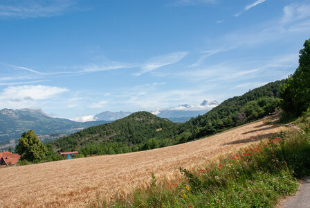 Jarjayes départ Bournas-Grand Bois-Col de la Sentinelle le 02072024, DSC_0489