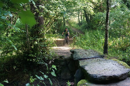 RANDO DE LA FERRIERE, DSC01590