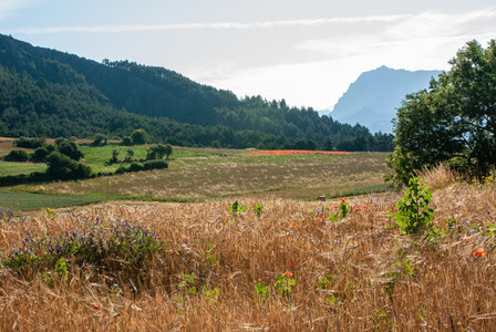 Boucle Rousset-Viere  LE 09072024, DSC_0543