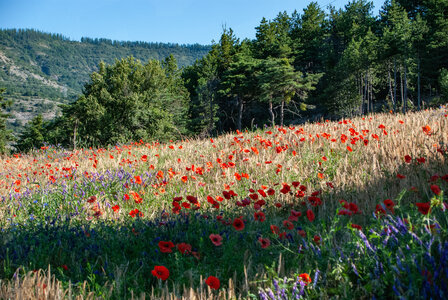 Boucle Rousset-Viere  LE 09072024, DSC_0546