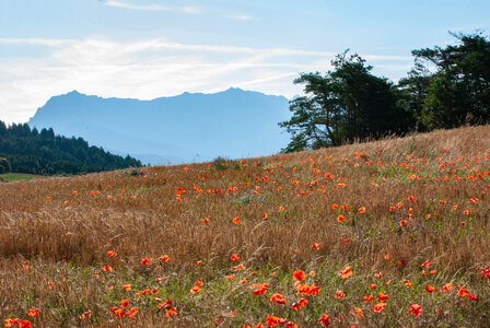 Boucle Rousset-Viere  LE 09072024, DSC_0547