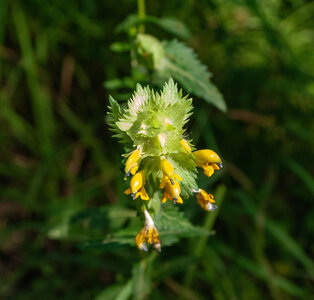 Boucle Rousset-Viere  LE 09072024, DSC_0571