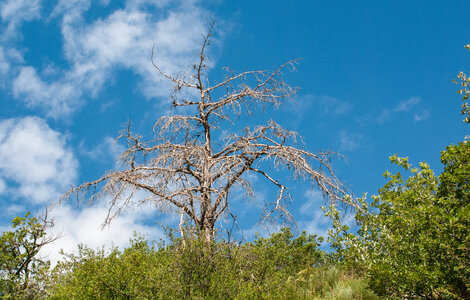 Boucle Rousset-Viere  LE 09072024, DSC_0582