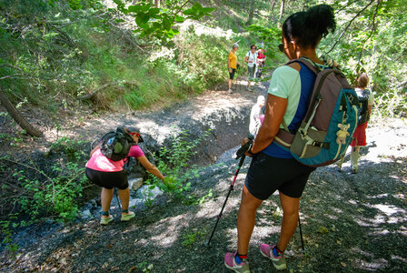 Boucle Rousset-Viere  LE 09072024, DSC_0606