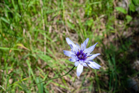 Boucle Rousset-Viere  LE 09072024, DSC_0616