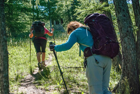 Ste Marguerite, l'Oriol Ste Marguerite le 11072024, DSC_0678