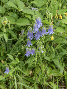 Maurienne_07-2024, P1095914