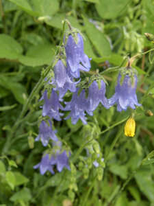 Maurienne_07-2024, P1095915