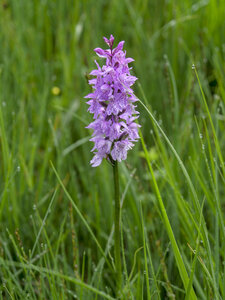 Maurienne_07-2024, P1095917